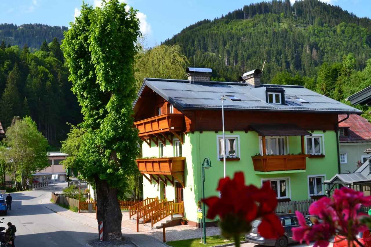 Apartment Holiday Lungoetz Анаберг им Ламертал Екстериор снимка